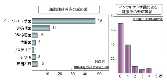 院長コラム：Hibワクチンについて