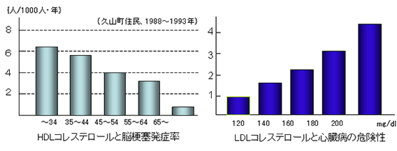 院長コラム：脂質異常症（高脂血症）について